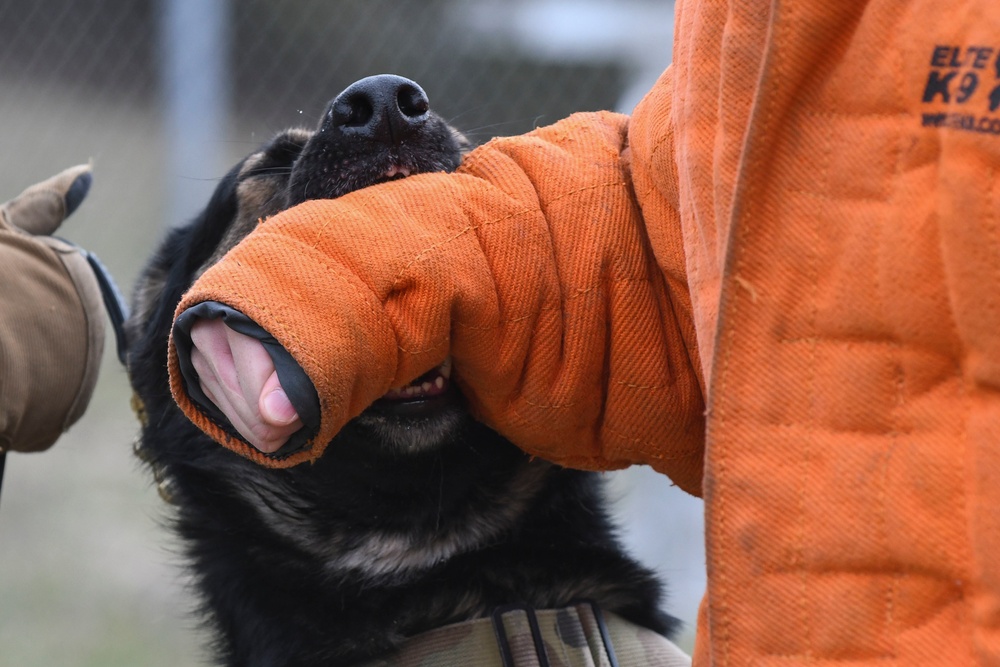 MWD: best friend or worst enemy