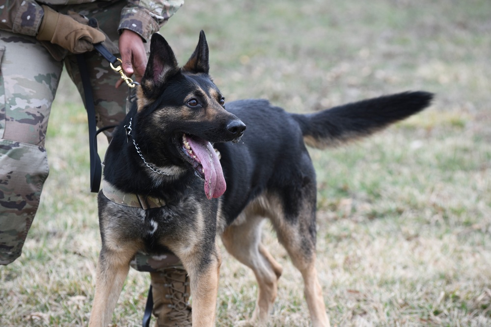 MWD: best friend or worst enemy