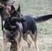 MWD: best friend or worst enemy