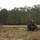 Dutch Marines participate Combat Tracking training on Camp Lejeune
