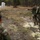 Dutch Marines participate Combat Tracking training on Camp Lejeune