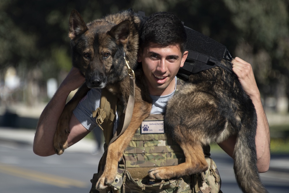 Incirlik Airmen honor MWDs on K9 Veterans Day