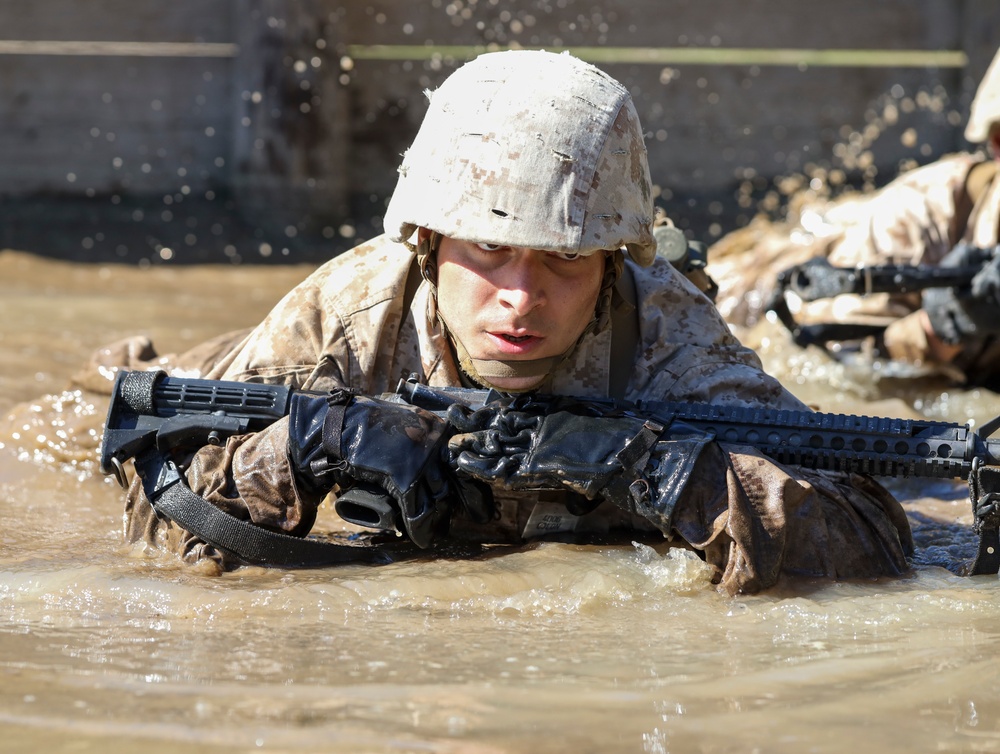 Papa Company Crucible