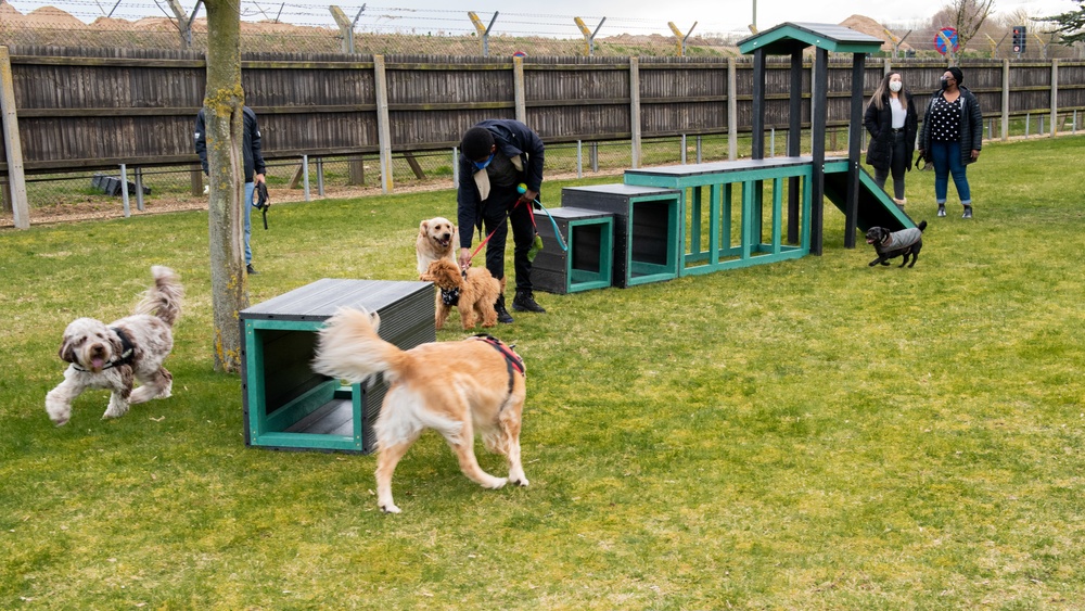 RAF Lakenheath Dog Park Grand Opening