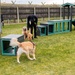 RAF Lakenheath Dog Park Grand Opening