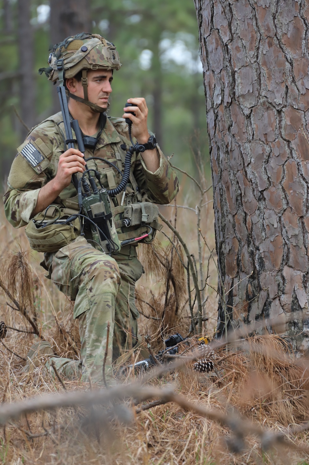 Soldier in pine forest near tree using his radio at Rotation 21-05 at the Joint Readiness Training Center