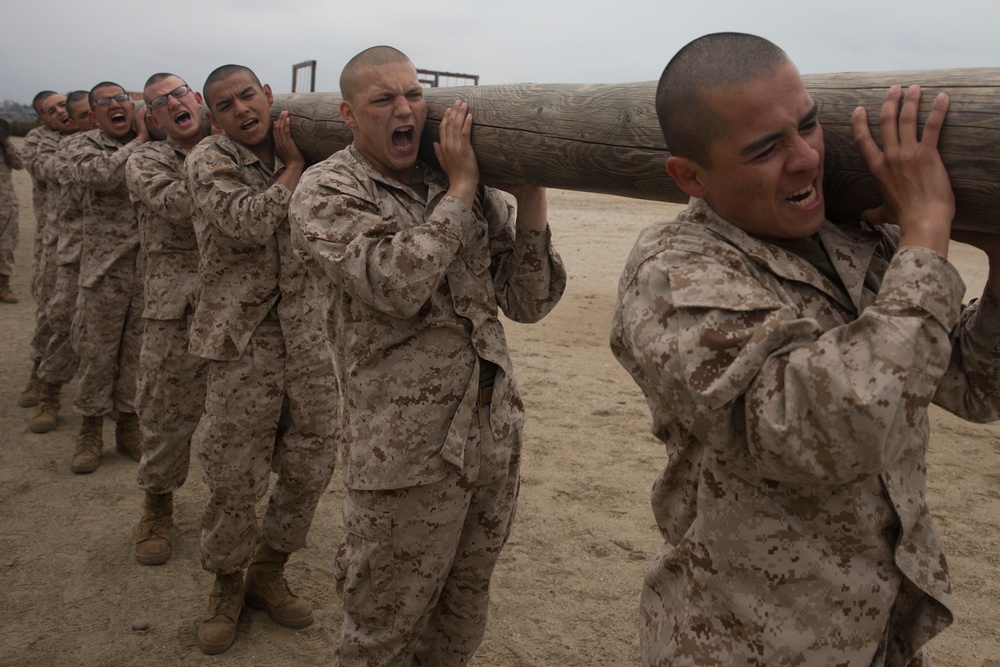 Lima Company Log Drills
