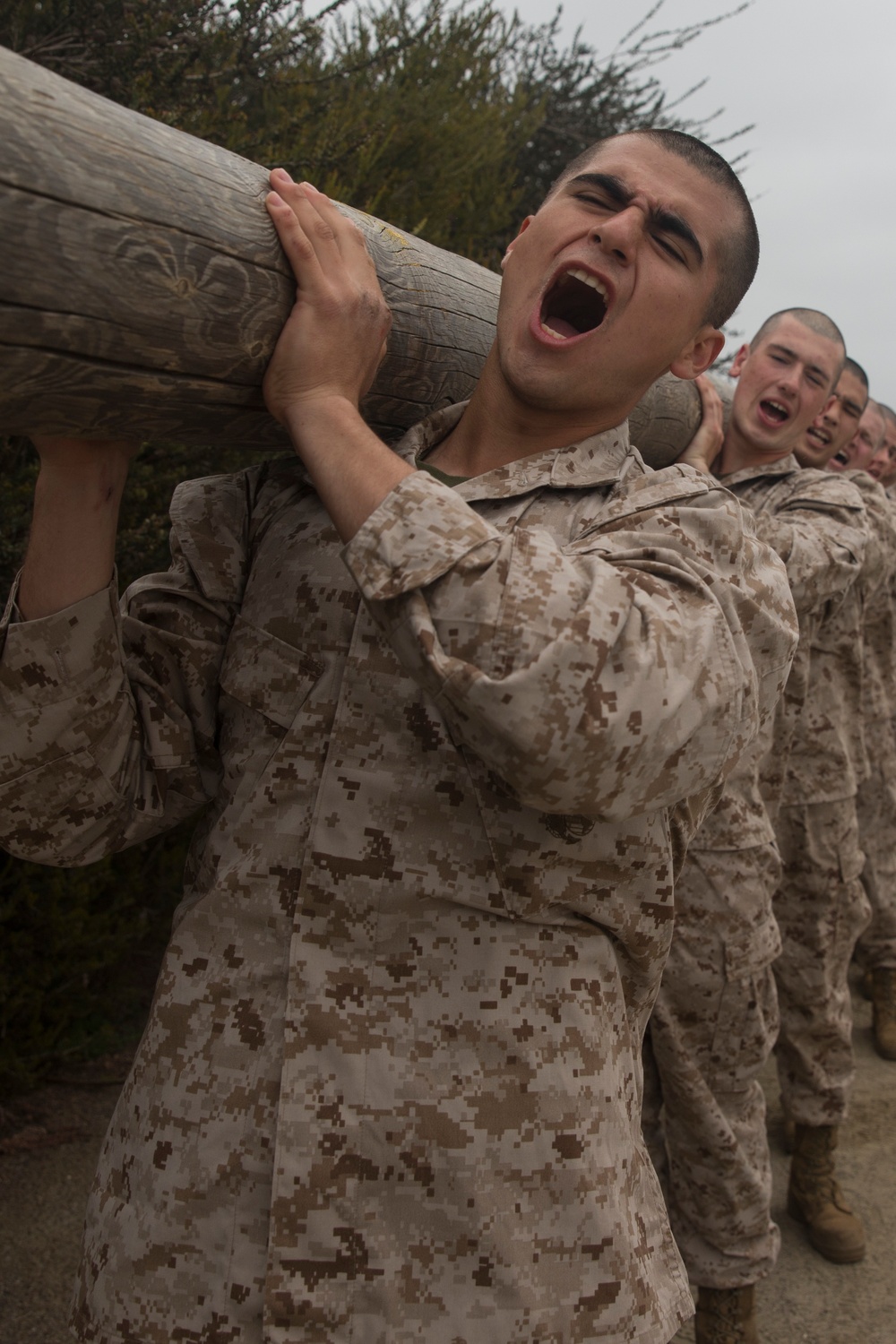 Lima Company Log Drills