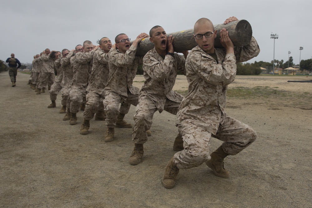 Lima Company Log Drills