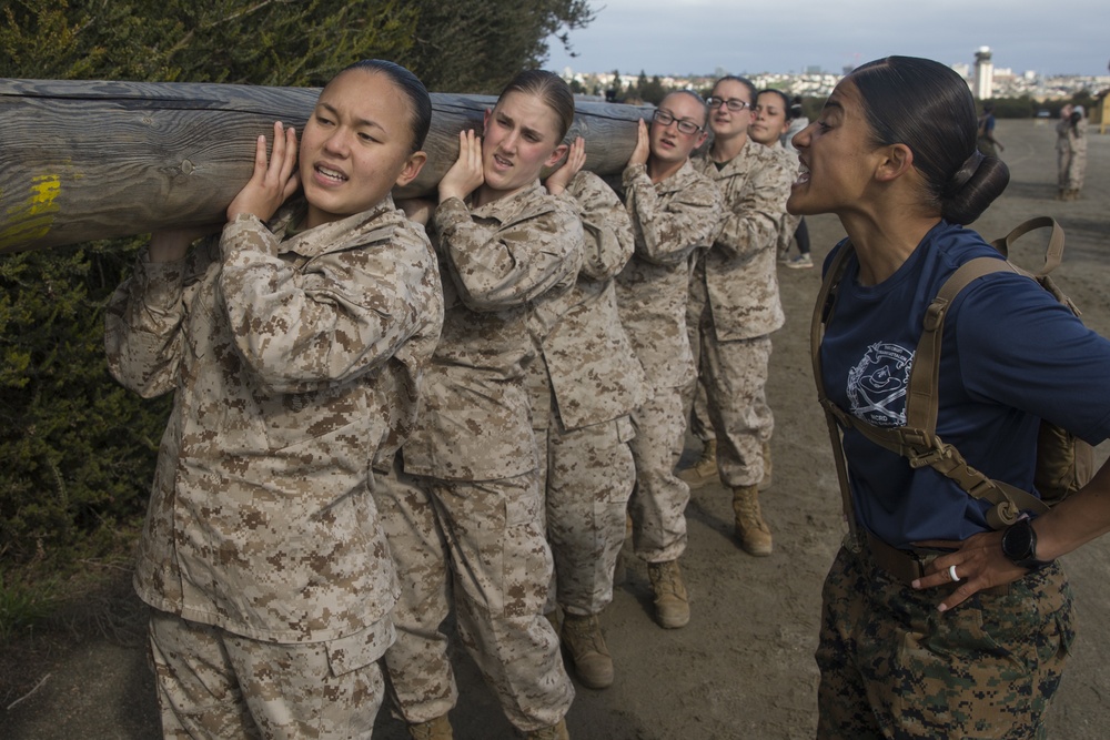 Lima Company Log Drills