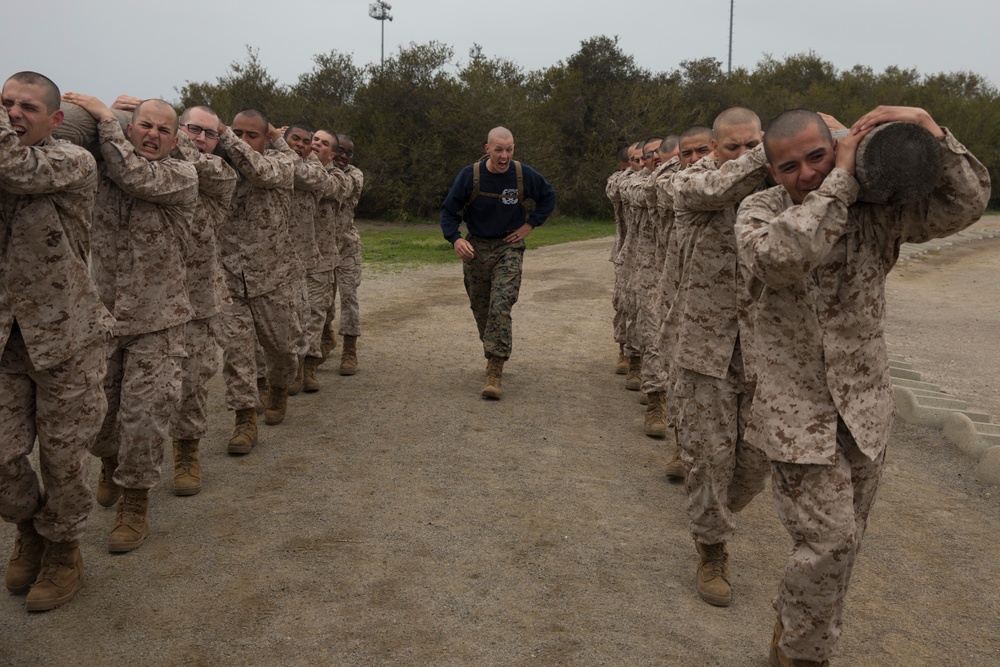 Lima Company Log Drills