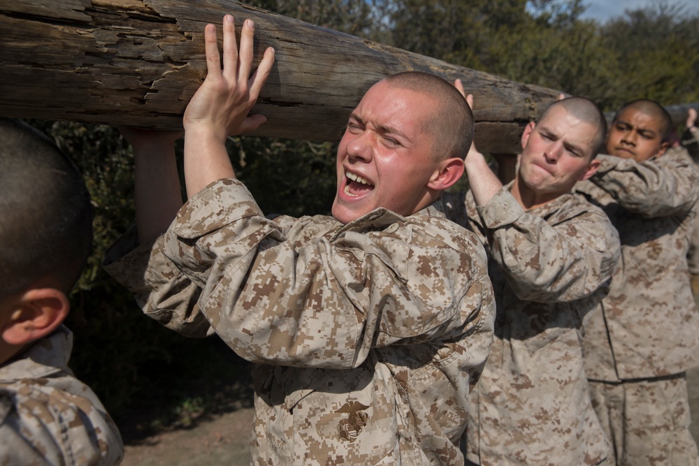 Lima Company Log Drills