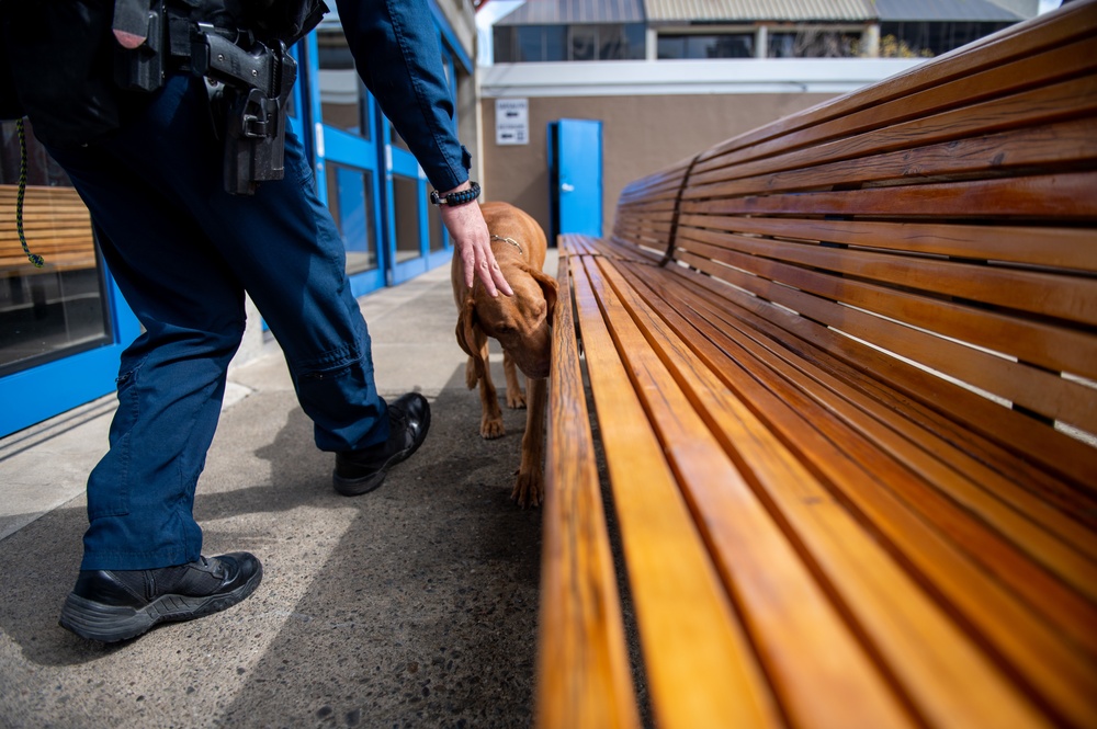 Coast Guard Maritime Safety and Security Team San Francisco conducts K9 explosive detection training