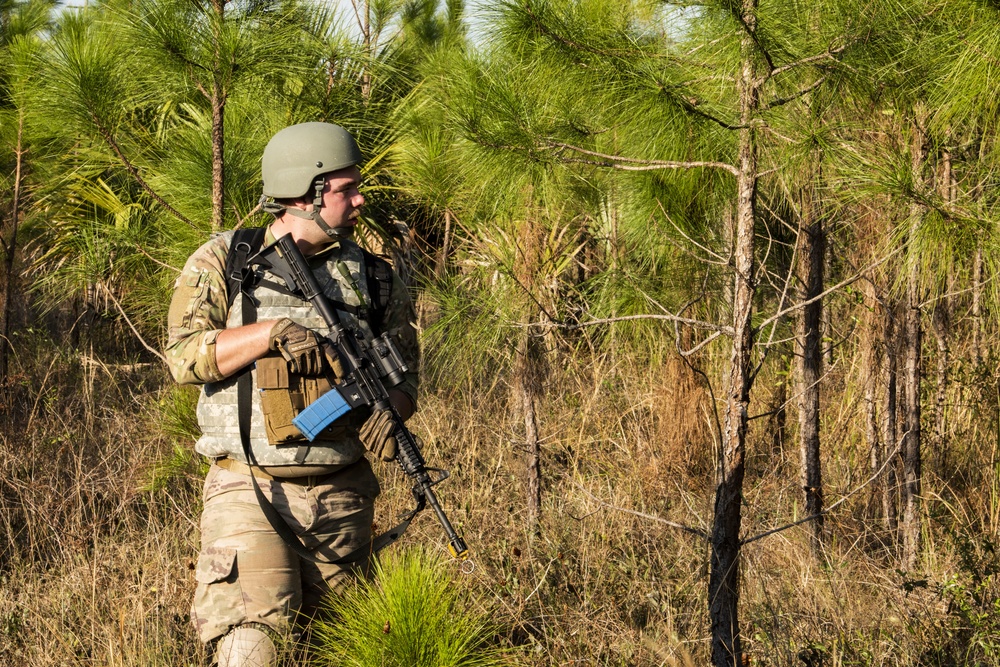 23d WG Airmen participate in Mosaic Tiger at Avon Park