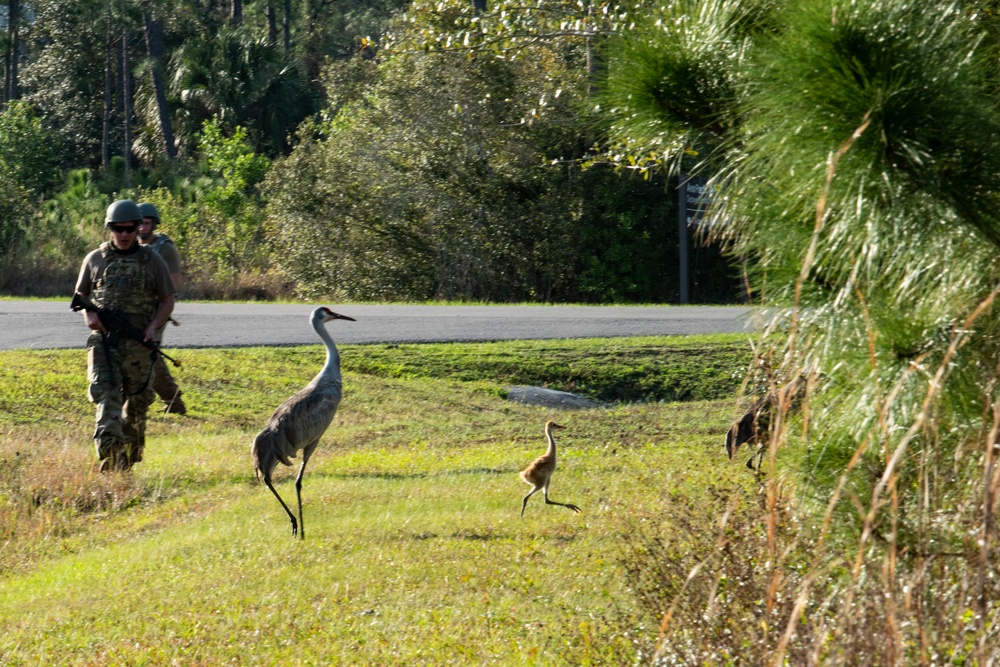 23d WG Airmen participate in Mosaic Tiger at Avon Park