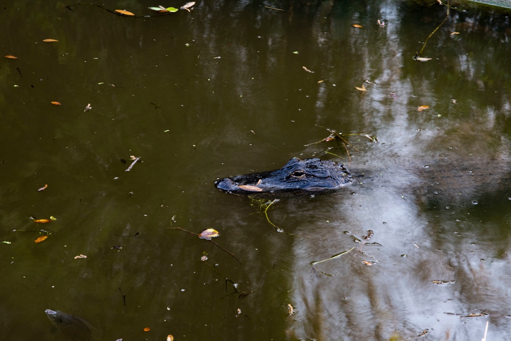 23d WG Airmen participate in Mosaic Tiger at Avon Park
