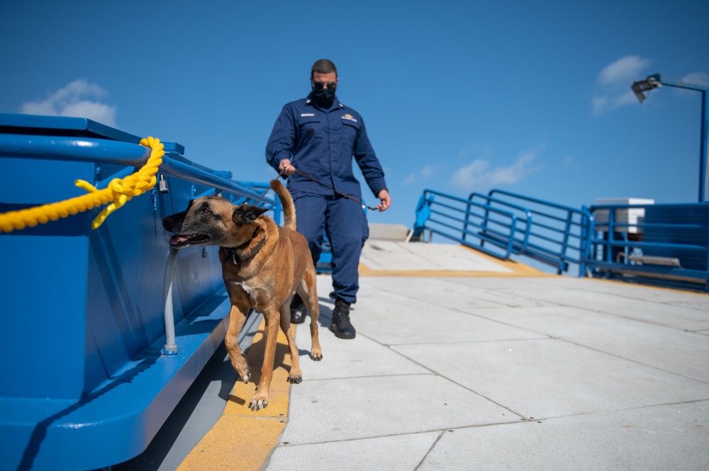 Coast Guard Maritime Safety and Security Team San Francisco conducts K9 explosive detection training