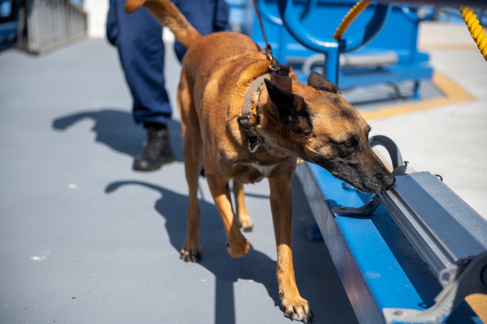 Coast Guard Maritime Safety and Security Team San Francisco conducts K9 explosive detection training