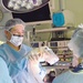 Army surgeon develops reconstructive program