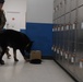 Routine Training