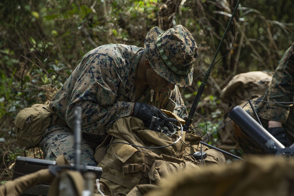 31st MEU conducts exercise with Force Design 2030 platoon