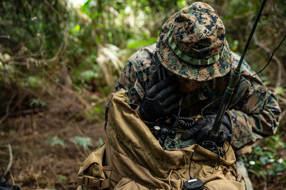 31st MEU conducts exercise with Force Design 2030 platoon