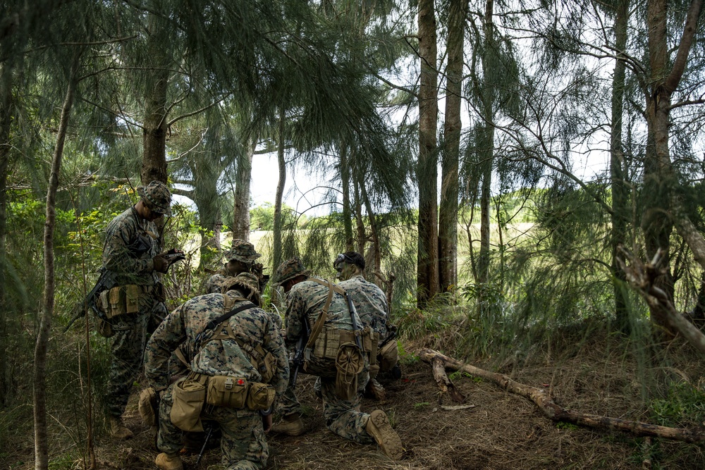 31st MEU conducts exercise with Force Design 2030 platoon