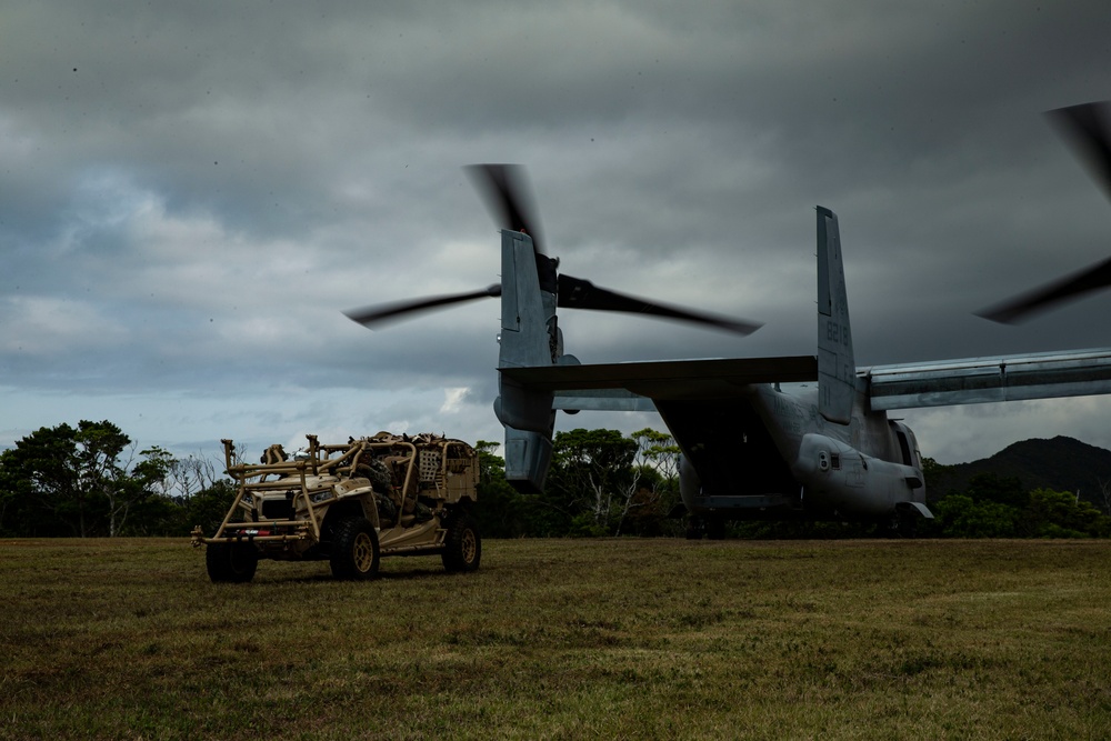 31st MEU conducts exercise with Force Design 2030 platoon