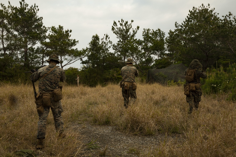 31st MEU conducts exercise with Force Design 2030 platoon