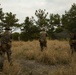 31st MEU conducts exercise with Force Design 2030 platoon