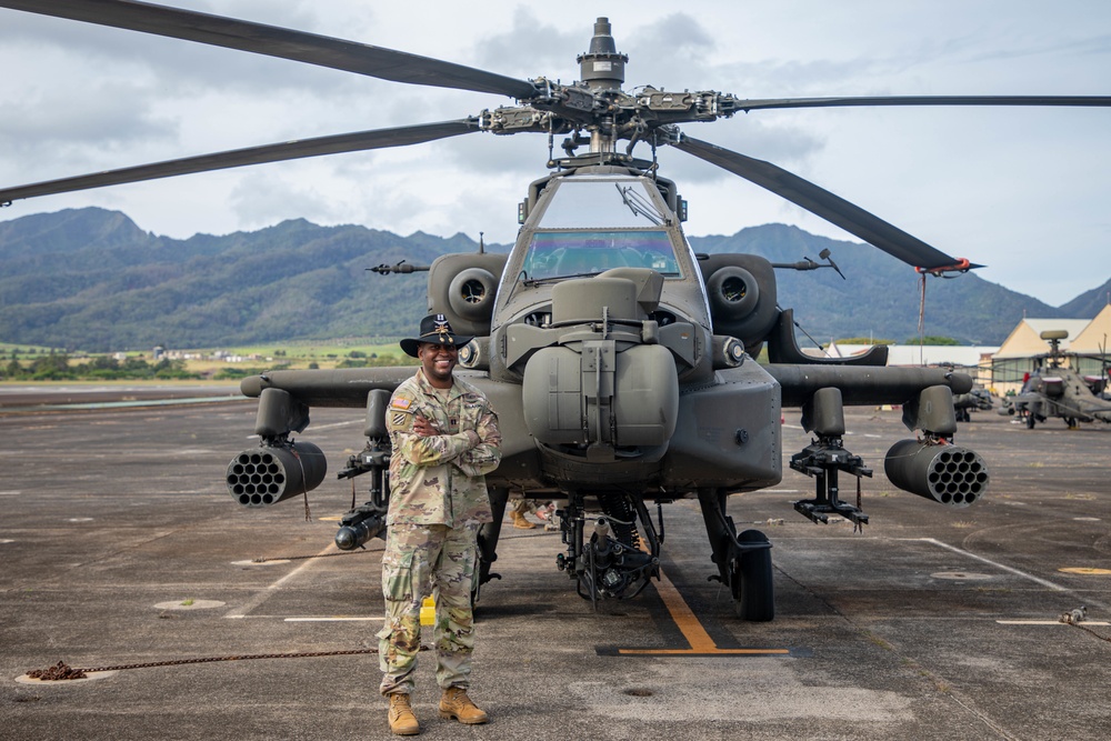 Apache Pilot