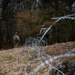 Setting up the concertina wire