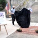 PAAF Base Ops building rededicated to Dustoff 33 crew