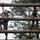 Hotel Confidence Course