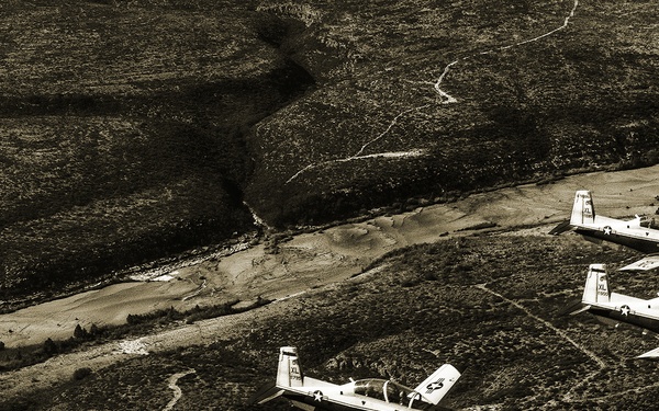 Mustache March - Roots Deeper Than Facial Hair