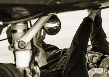 Mustache March - Roots Deeper Than Facial Hair