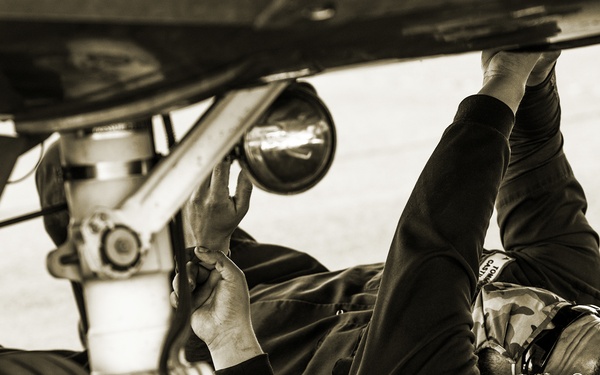 Mustache March - Roots Deeper Than Facial Hair