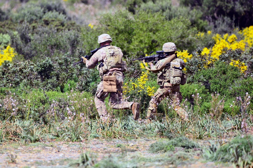 Exercise Eagle Pangea