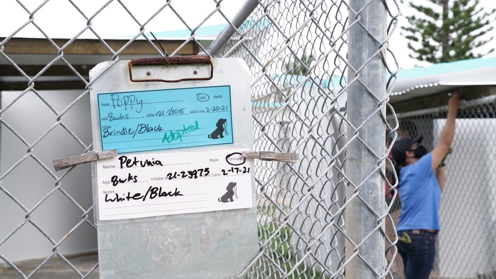 Andersen Airmen rebuild pet shelters