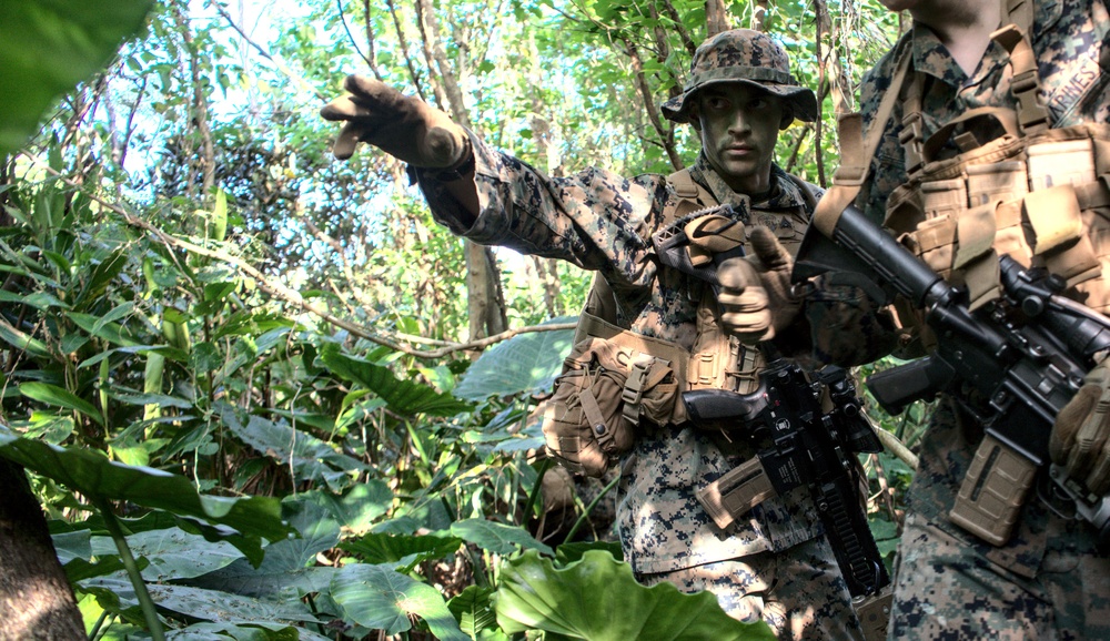 3/3 Conducts Littoral Defense Experimentation