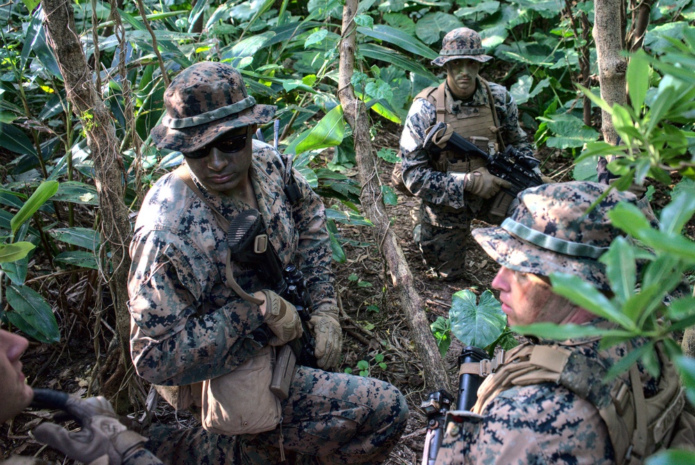 3/3 Conducts Littoral Defense Experimentation