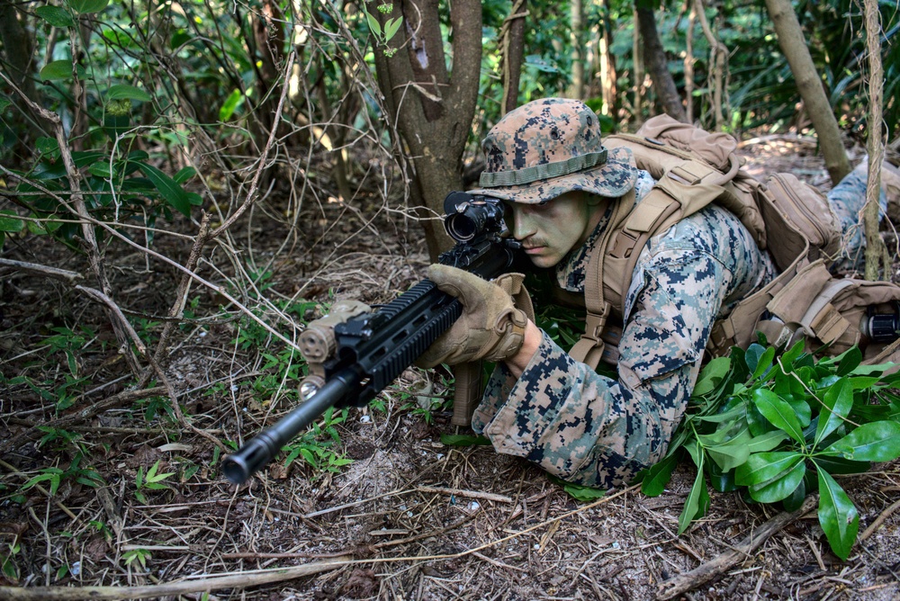 3/3 Conducts Littoral Defense Experimentation