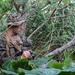 3/3 Conducts Littoral Defense Experimentation