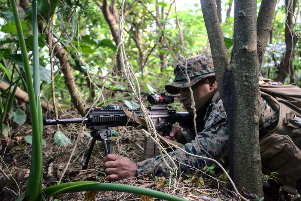3/3 Conducts Littoral Defense Experimentation
