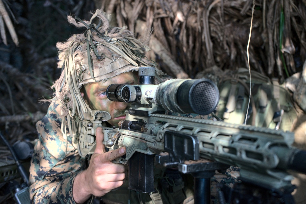 3/3 Conducts Littoral Defense Experimentation