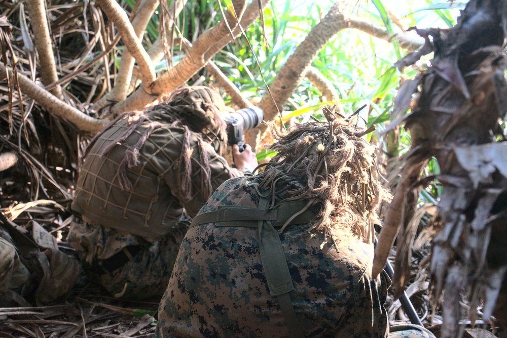 3/3 Conducts Littoral Defense Experimentation