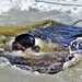 Cold-Weather Operations Course class 21-04 students conduct field training