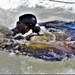 Cold-Weather Operations Course class 21-04 students conduct field training