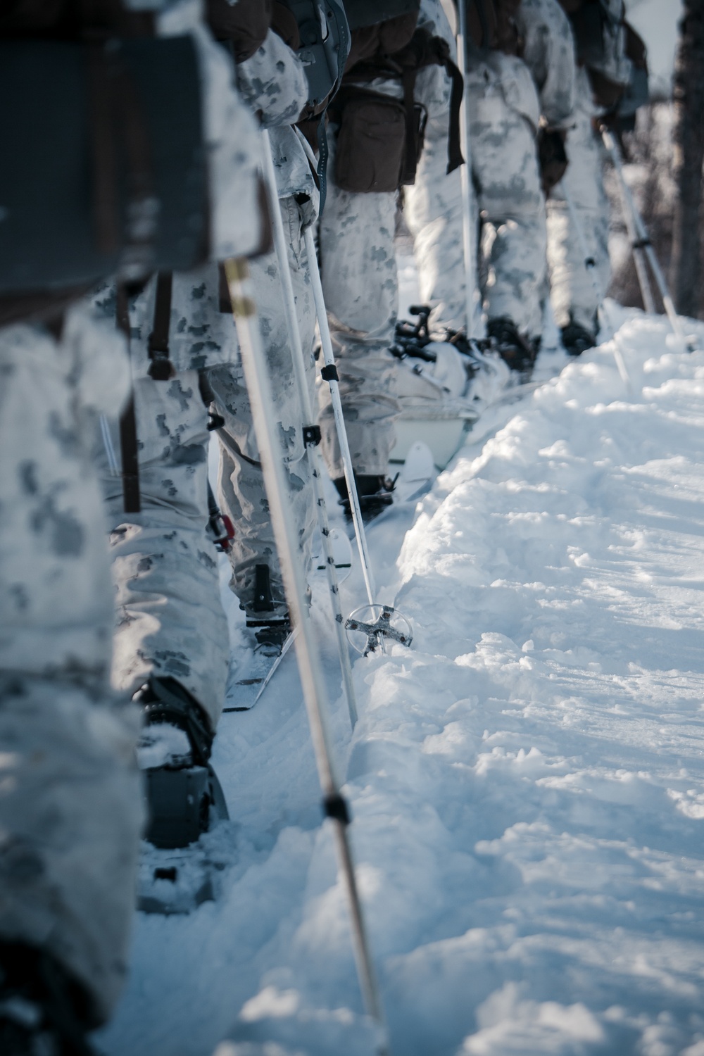 Arctic Warriors: MRF-E Marines Execute Winter Combat Training