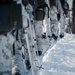 Arctic Warriors: MRF-E Marines Execute Winter Combat Training